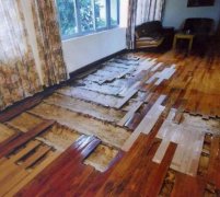 保稅區(qū)殺蟲別墅地板案例